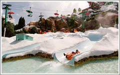 Walt Disney World Blizzard Beach Water Park Attractions